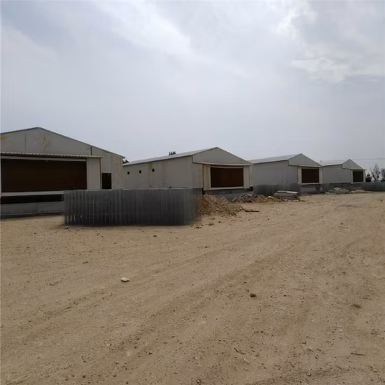 Attrezzatura semiautomatica per pollame di qualità autoprodotta